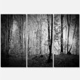 thumbnail image 1 of Belle Forêt Matin, 1 of 3