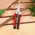 thumbnail image 6 of Professional Garden Pruning Shears | Stainless Steel Blade | Non-Slip Handles | Fruit Tree Flower Trimming Scissors | 4 Color Options | 8-Inch Gardening Tool, 6 of 6