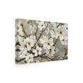 thumbnail image 2 of Trademark Fine Art 'Cherry Blossoms I Blue' Canvas Art by James Wiens, 2 of 4