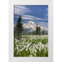 Paulson, Don 17x24 White Modern Wood Framed Museum Art Print Titled - Washington Avalanche lilies and Mount Rainier