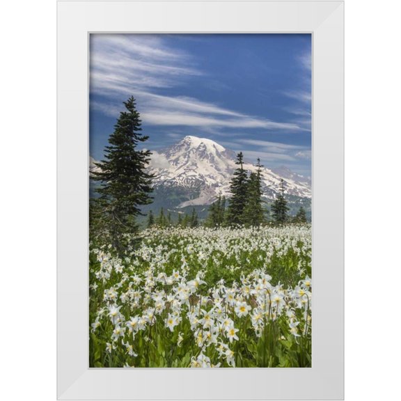 Paulson, Don 17x24 White Modern Wood Framed Museum Art Print Titled - Washington Avalanche lilies and Mount Rainier
