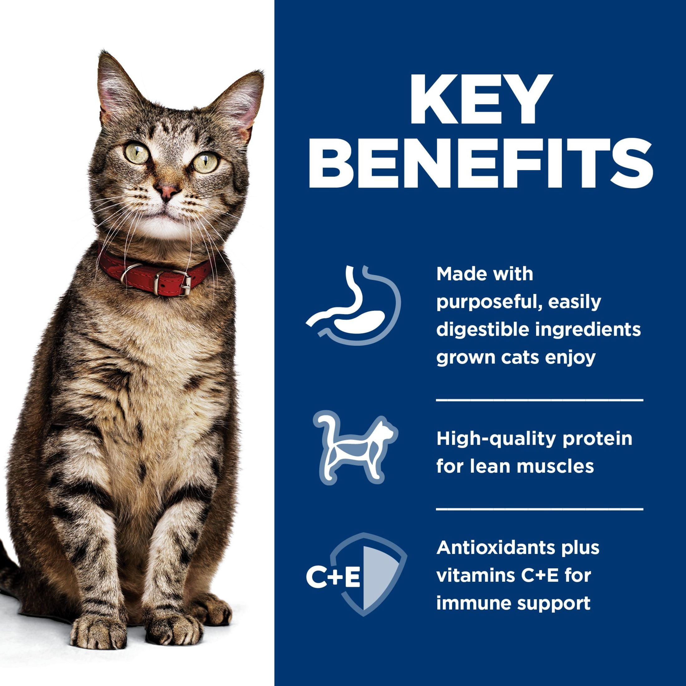 Hill's Science Diet Savory Beef Wet Cat Food, 2.9oz Can 24pk
