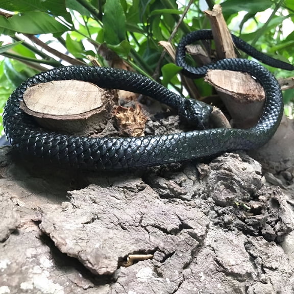 BESTSKY 2pcs Lifelike Rubber Snakes - Garden Bird Squirrel Scare Prop (Black)