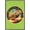Barnwood Framed Version, variant on Jim Baldwin - Iguana Wall Poster, 14.725" x 22.375"