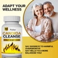thumbnail image 6 of Candida Cleanse - with Oregano Leaf, Wormwood, Black Walnut, Caprylic Acid - Promotes Gut Detox & Cleansing, Improves Digestion - 60 Capsules, 6 of 7