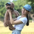 thumbnail image 5 of ¡Liquidación de sombreros para perros pequeños! Sombrero para perro - Sombreros para perros pequeños, sombrero para mascotas con agujeros para las orejas, gorra deportiva de béisbol para perro con, 5 of 5