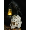 thumbnail image 4 of Corvus Raven Perching On Rose Skull Statue with Solar LED Lantern Light Crow Scavenger Bird Ossuary Figurine for Courtesy Path Or Night Light,White, 4 of 10