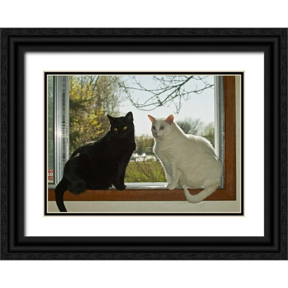 Grandmaison, Mike 18x14 Black Ornate Wood Framed with Double Matting Museum Art Print Titled - Canada, Winnipeg Black and white house cats