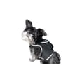 thumbnail image 2 of Waterproof Pet Tracker GSM GPRS Realtime Smallest GPS Pet Tracking Device Size:XS, 2 of 5