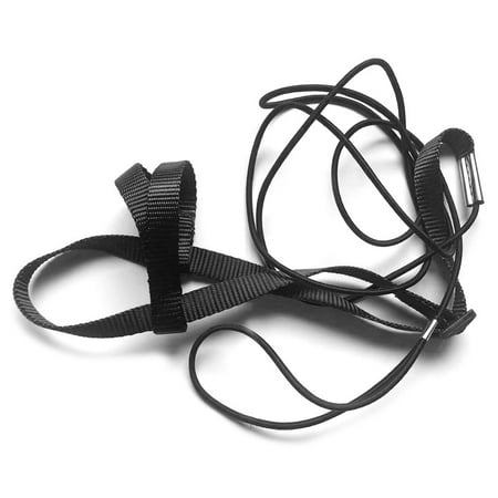 

Straps Band Flying Rope for Small Parakeets Outdoor Activities Flying Traction