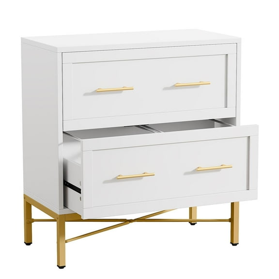 Demi Bonn 2-Drawer File Cabinet, Wood Lateral Filing Cabinet for Home Office, Printer Stand, for A4, Letter-Size Documents, Storage Cabinet for Home Office, White