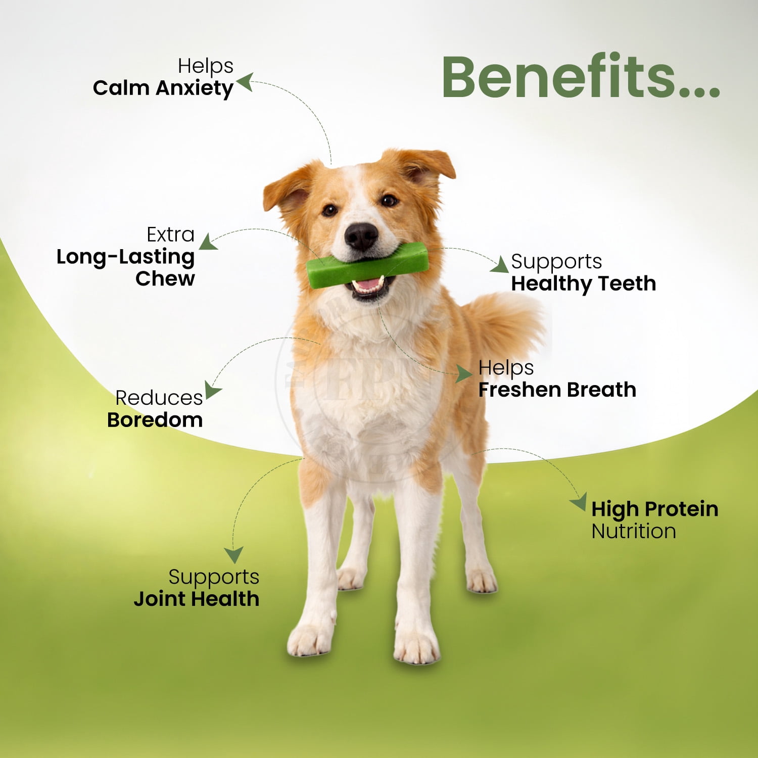 FPN Cheese Dog Chew Spirulina Himalayan Yak – Long Lasting Natural Dog Chews for Aggressive Chewers – High Protein Cow Milk Alternative Healthy Dental Dog Treat – Made in Belgium (Large)