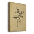 thumbnail image 3 of Holly Branch I- Gallery Wrapped Canvas, 3 of 9