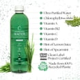 thumbnail image 2 of Chlorophyll Water - Ultra-Purified Water with Chlorophyll and Plant-Based Vitamins A, B12, C, D3, Clean Label Project Certified, 16.9 fl oz Bottles, 12 Pack, 2 of 5