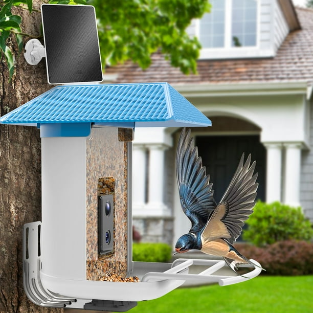 SEGMART Smart Bird Feeder with Camera, Solar Powered Bird Feeder Camera ...