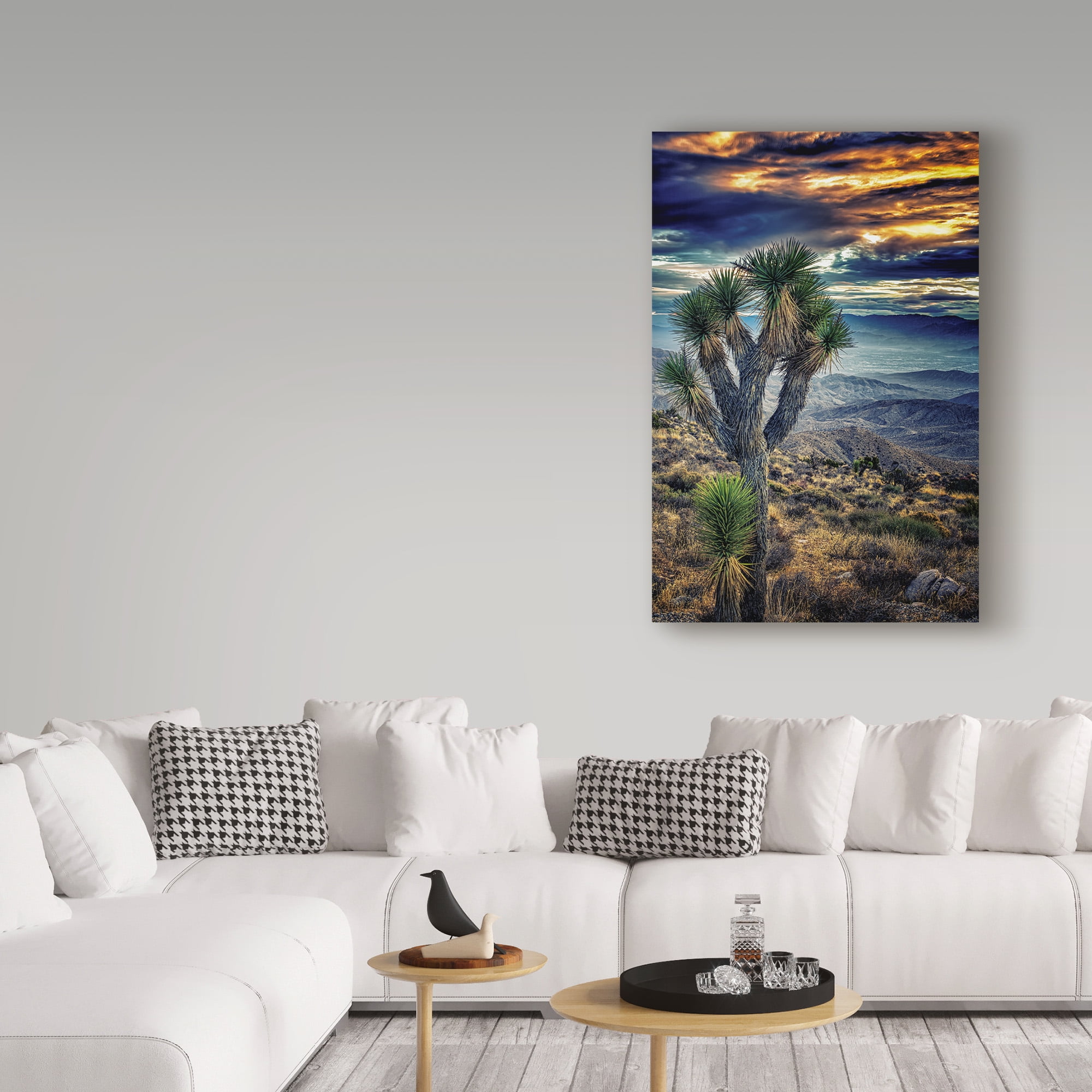 Trademark Fine Art 'Joshua Tree Sunset I' Canvas Art by Janice Sullivan