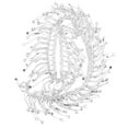 thumbnail image 4 of EBTOOLS Rhinestone Tassel Chain, Crystal Tassel Decoration, Tassel Rhinestones Trim, For Belly Dance Costumes Latin Dance Costumes, 4 of 8