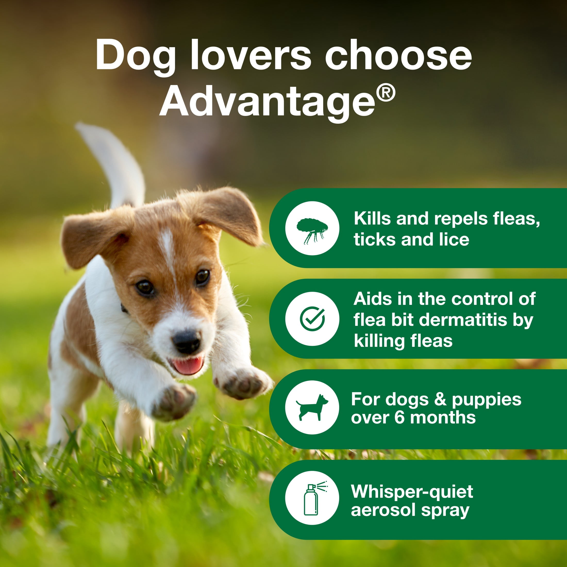 Advantage Dog Flea Treatment Spray, Kills Fleas & Ticks, Dog Flea Spray, 8 oz.