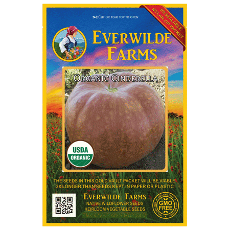 Everwilde Farms - 10 Organic Cinderella Pumpkin Seeds - Gold Vault Jumbo Bulk Seed