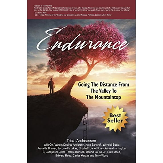 Pre-Owned Endurance: Going The Distance From The Valley To The Mountaintop (Paperback) 1946265128 9781946265128