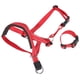 thumbnail image 2 of Bozal para perro NikouMX con collar para la cabeza de nailon ajustable, 2 of 8