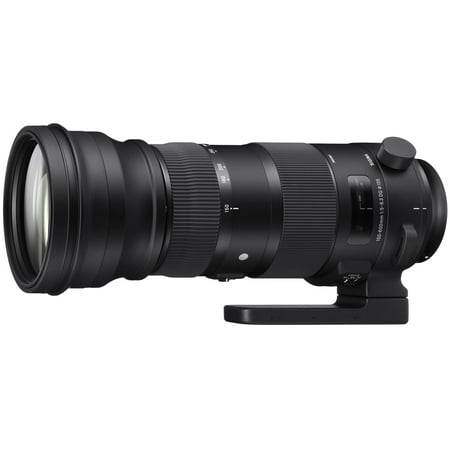 Sigma 150-600mm f/5.0-6.3 Sports DG OS HSM Zoom Lens (for Nikon (Best Nikon Lens For Low Light Sports Photography)