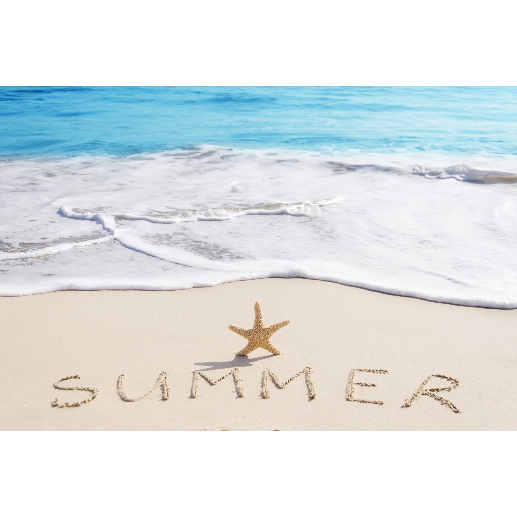Marmont Hill "Summer Starfish" Painting Print on Wrapped Canvas