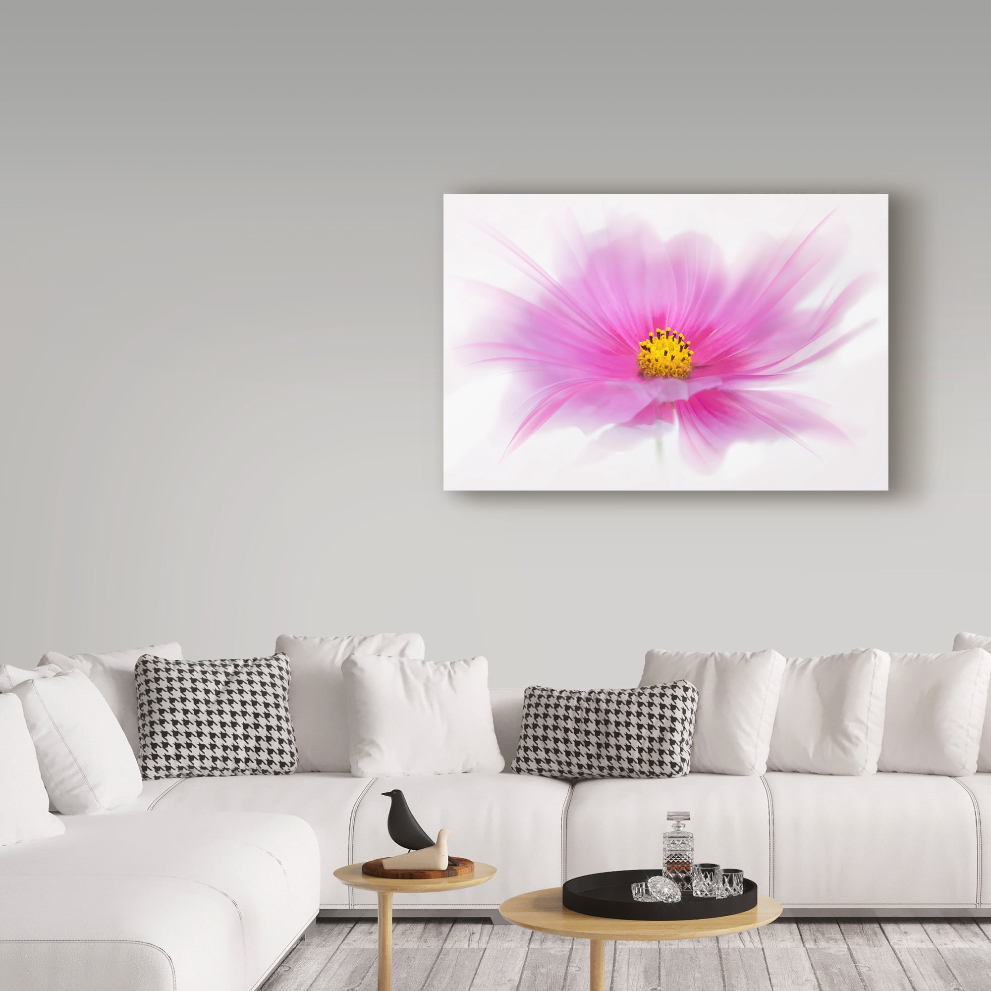 Trademark Fine Art 'Dancing Flower Deep Pink Cosmos' Canvas Art by Cora Niele