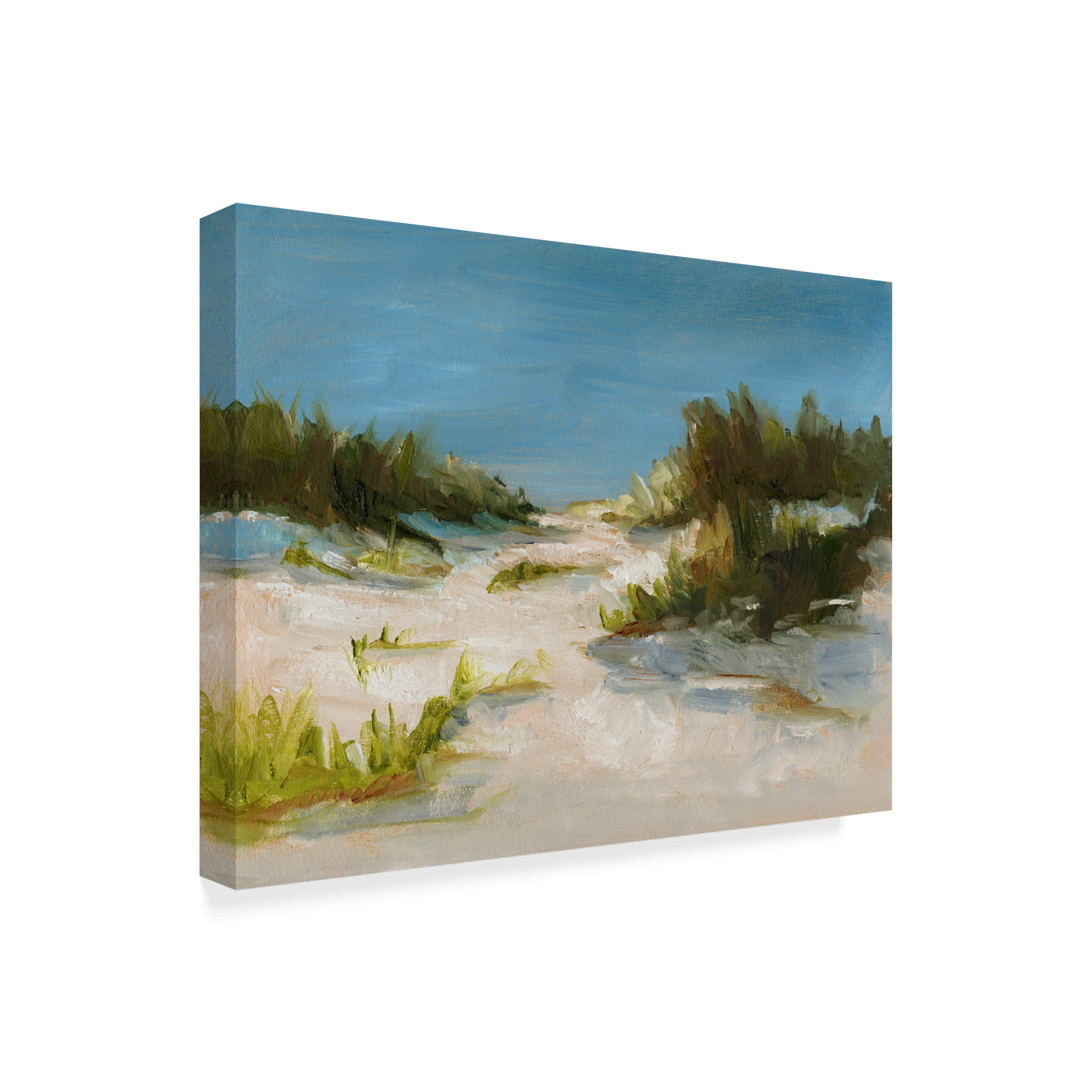 Trademark Fine Art 'Summer Dunes I' Canvas Art by Ethan Harper