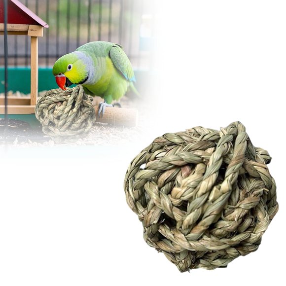 BotaniNest Hamster Chew Toys For Rabbits Small Animals Durable Wooden Gnawing Teeth Grinding Natural Pet Supplies For Indoor Outdoor Use