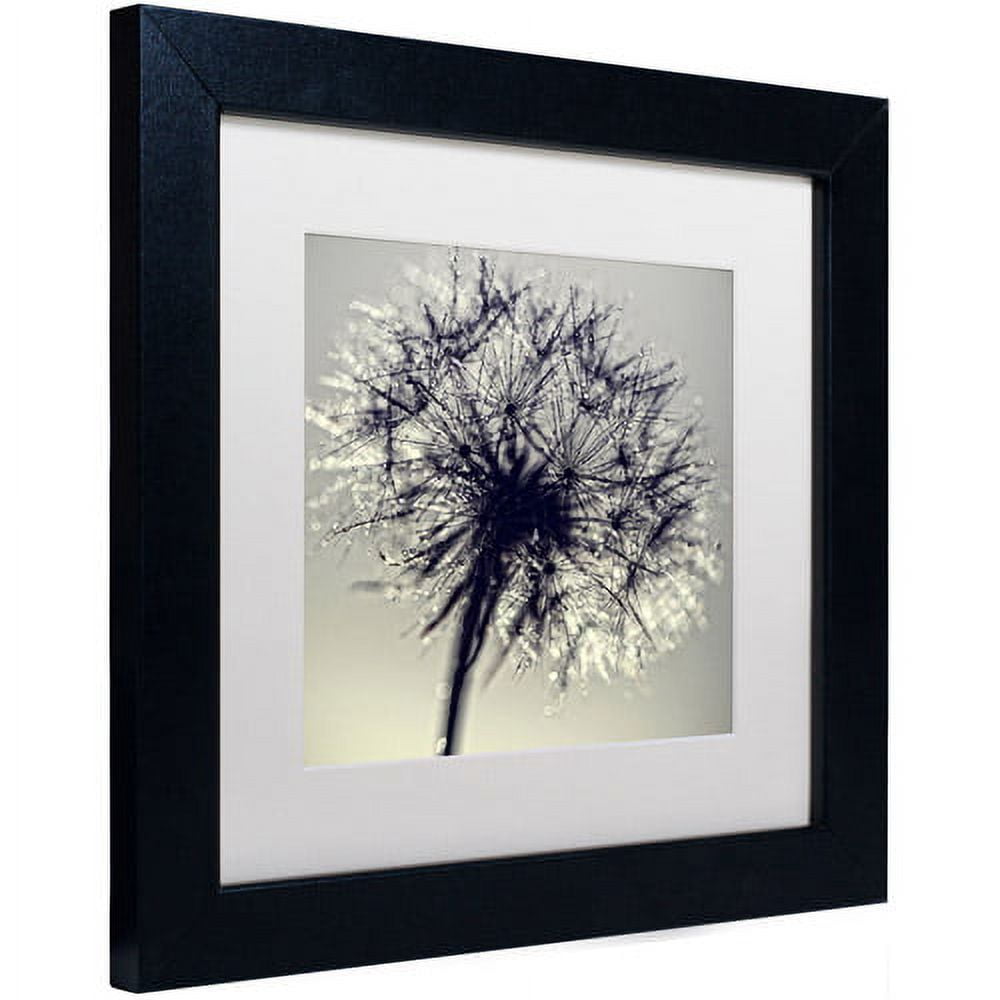 Trademark Fine Art "Morning Sparkles" Canvas Art by Beata Czyzowska Young, White Matte, Black Frame