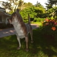 thumbnail image 2 of Nifao Standing Chihuahua Bronze Statue – Home Decor Sculpture, 6"L x 16"W x 14"H, 2 of 12