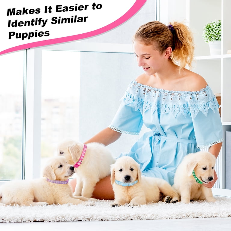 Prdigy 18-Pack Puppy Collar Set, Multicolor Quick Release photo 8