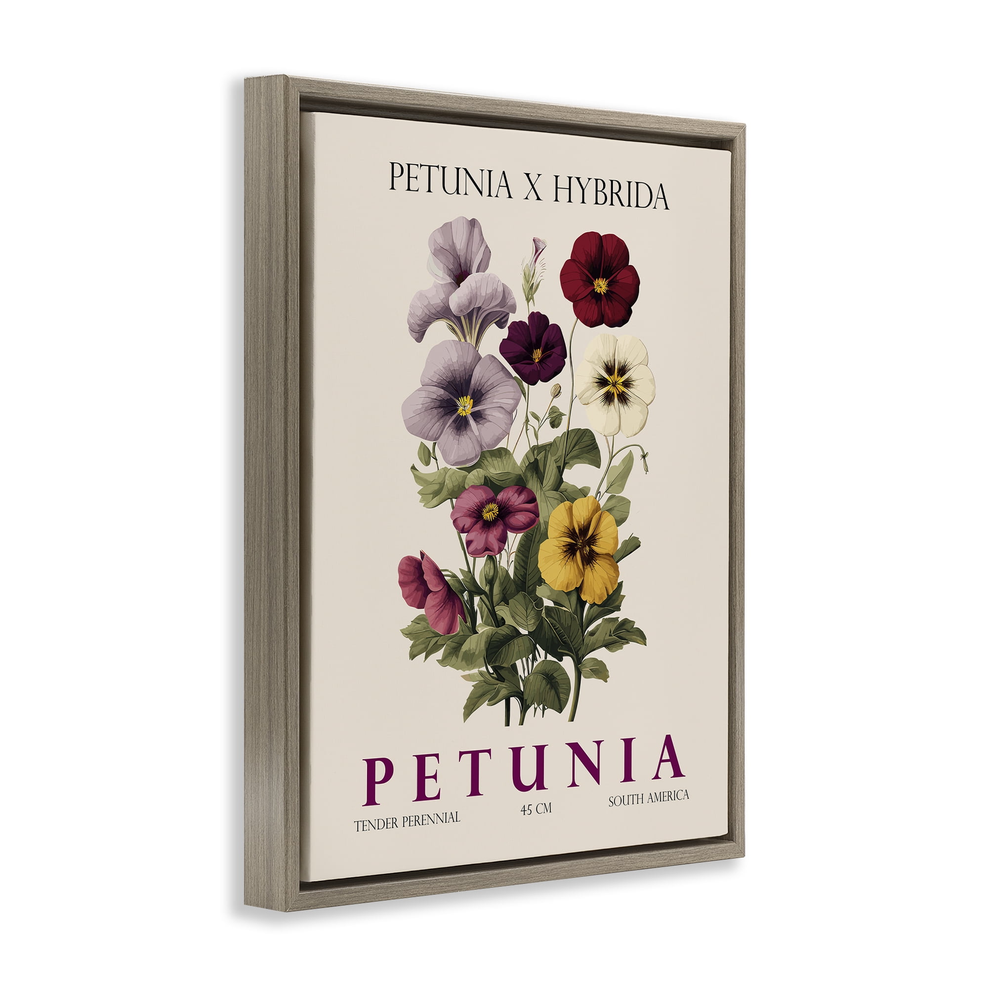 Stupell Industries Natural Petunia Bundle Brown Framed Floater Canvas Wall Art, design by Christopher Giampietro