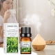thumbnail image 5 of Aceite esencial Alivia la fatiga Aceite de aromaterapia Ayuda a respirar 10 ml Té verde una esencia, 5 of 5