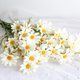 thumbnail image 3 of Flores silvestres artificiales, margaritas artificiales de seda, flores silvestres de seda de plástico, margaritas artificiales, funcionalidad de alta precisión, 3 of 5