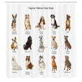 thumbnail image 3 of Ambesonne Colorful Shower Curtain, Puppy Breeds Family, 69"Wx75"L, Multicolor, 3 of 5