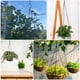 thumbnail image 2 of 3 cadenas colgantes para macetas, cestas de flores y plantas., 2 of 6