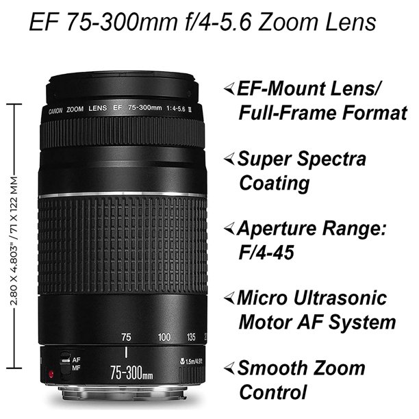 Canon EOS 5D Mark IV DSLR Camera with 24-105mm + 75-300mm Lens + 2