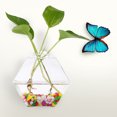 thumbnail image 3 of Hanging Plants Flowers Glass Vase Wall Hydroponic Aquarium Container Home Decor #3, 3 of 6