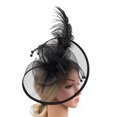 thumbnail image 5 of 2025 Hot Sale Mesh Feather Headwear Bowknot Versatile Hairband Hair Accessories Pearl Party Performance Hair Clip Style, 5 of 9