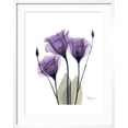 thumbnail image 2 of Art.com Purple Gentian Triplet Premium Giclee Print by Albert Koetsier, White Frame Wall Art, 23" x 29", 2 of 5