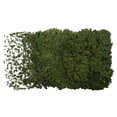 thumbnail image 1 of 8.8 lbs Bulk Green Reindeer Moss, 1 of 1