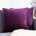 thumbnail image 1 of Cterwk - Juego de 2 fundas de almohada decorativas de terciopelo suave para sofá cama, 61 x 61 cm, 1 of 8