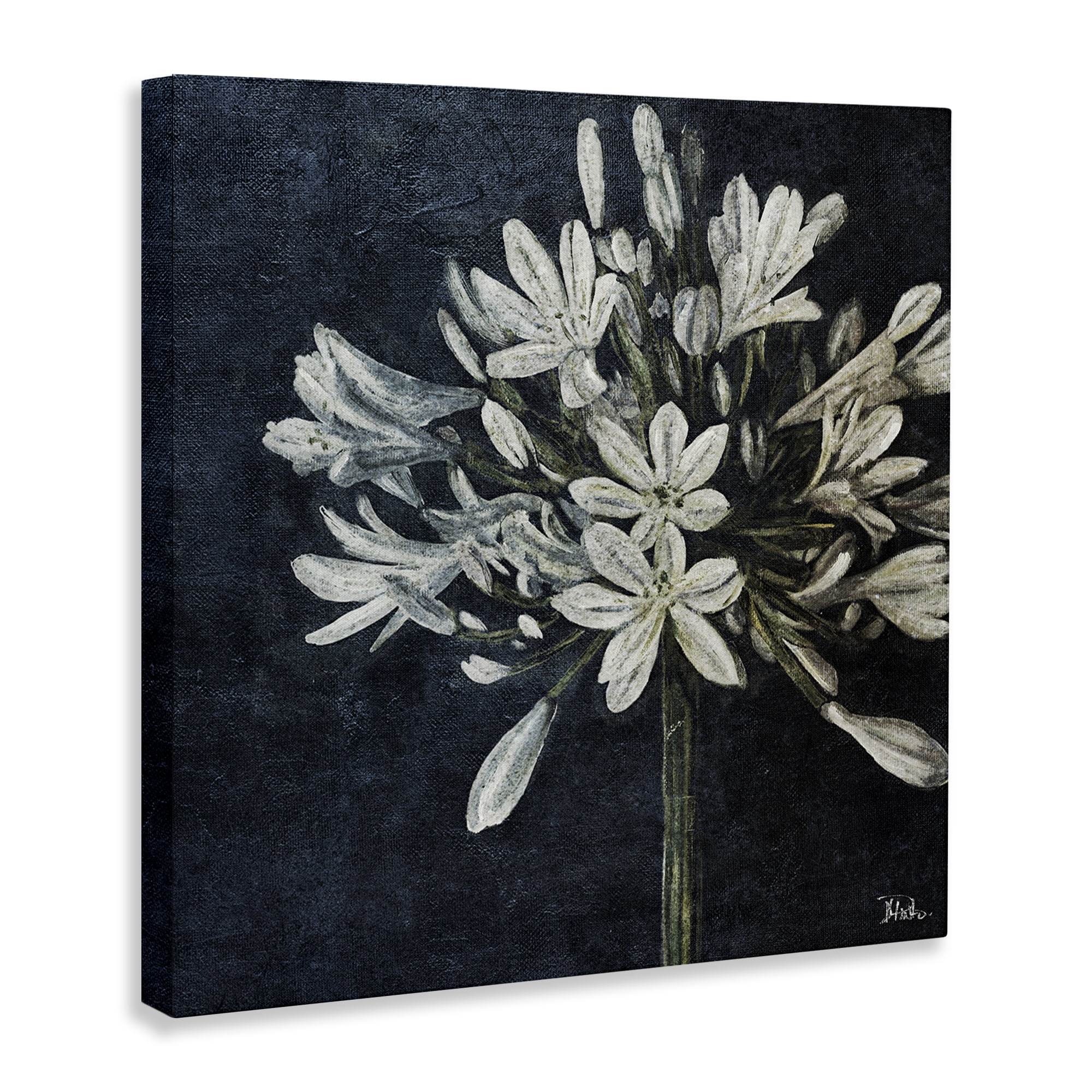 Stupell Industries White Herb Blooms Botanical & Floral Painting Gallery Wrapped Canvas Art Print Wall Art, 36 x 36