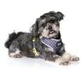 thumbnail image 3 of DOOG - Neoflex Dog Harness ODIE, X-Large, 3 of 4