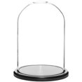 thumbnail image 1 of Plymor 8" x 12" Glass Display Dome Cloche (Black MDF Wood Base), 1 of 3