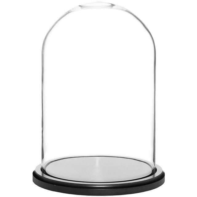Plymor 8" x 12" Glass Display Dome Cloche (Black MDF Wood Base)