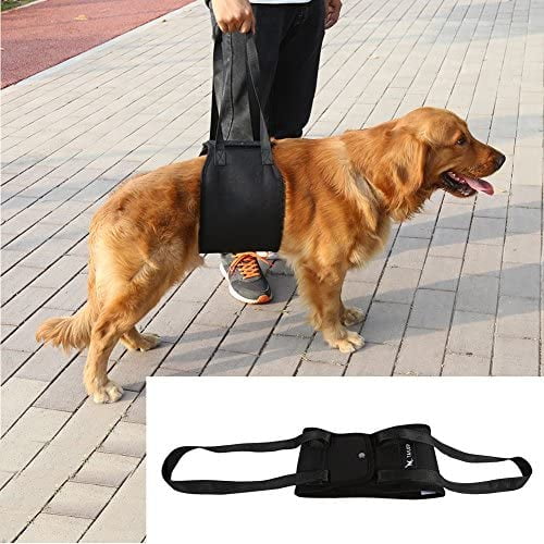 Dog Lift Harness Adjustable Dog Support Sling Aid Mobility and Rehabilitation Harness for Senior Injured Disabled Joint Injuries Dogs Walk XL Walmart