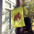 thumbnail image 2 of French Turkey Dindon Green Flag Canvas House Size, 2 of 4